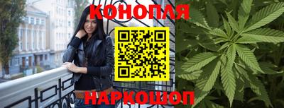 шишки Гусиноозёрск