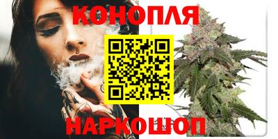 шишки Гусиноозёрск