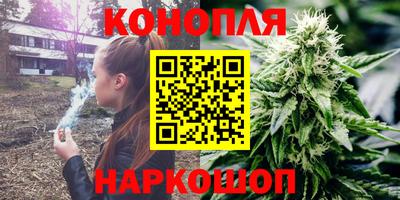 шишки Гусиноозёрск