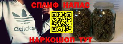 шишки Гусиноозёрск