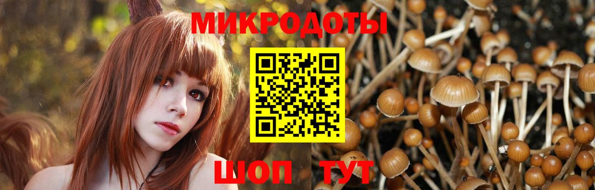 Галлюциногенные грибы Psilocybe Орехово-Зуево